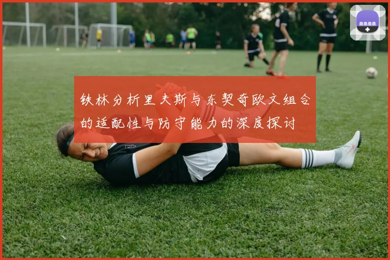 铁林分析里夫斯与东契奇欧文组合的适配性与防守能力的深度探讨