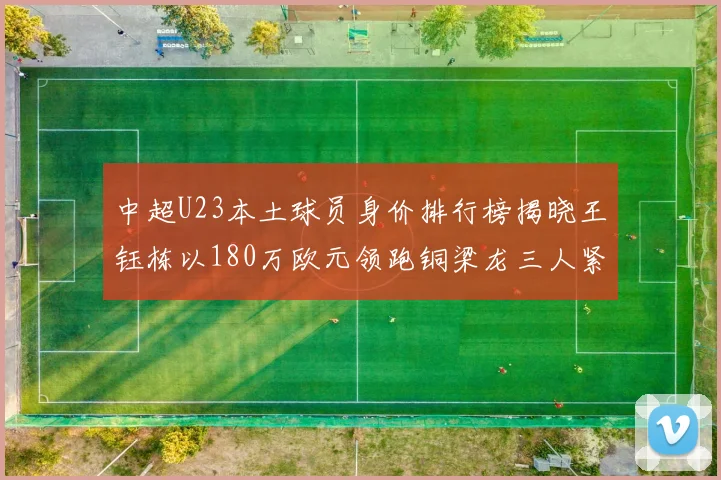 中超U23本土球员身价排行榜揭晓王钰栋以180万欧元领跑铜梁龙三人紧随其后