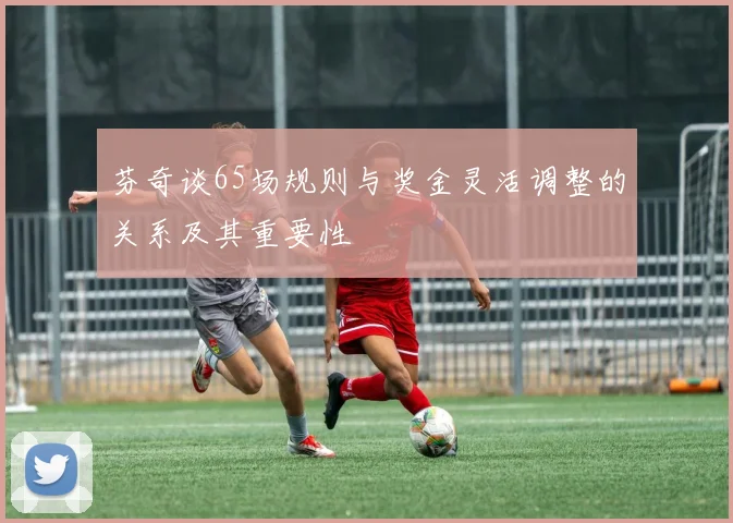 芬奇谈65场规则与奖金灵活调整的关系及其重要性