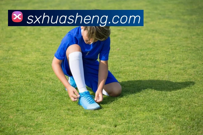 xk体育登录入口APP 封面图
